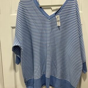 Lane Bryant Blue and White V-Neck Sweater